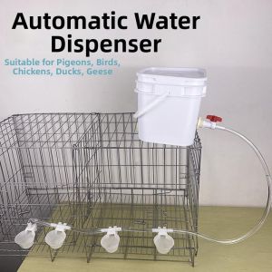 LENIHALC | Automatic Feeder Water Bowl