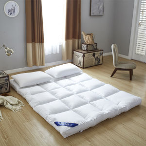 Five Star Hotel Quality Mattress Home Use Soft Base Pad Student Dormitory 90cm190 Compression Roll Pack Pure Cotton Mattress