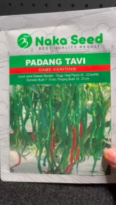 Bibit Benih Cabe Keriting Padang Tavi Naka Seed