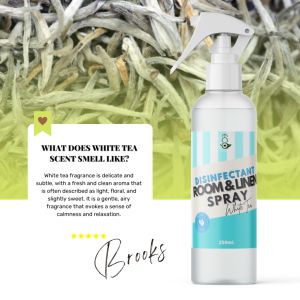 My Home 324 GREEN TEA Premium Room and Linen Disinfectant Spray Paraben Free Car Bathroom Freshener