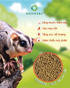 Thức ăn Sóc Bay & Sóc Cảnh GREENABC - Cung cấp Protein - Canxi - Lipid năng lượng dồi dào - Hộp 480g