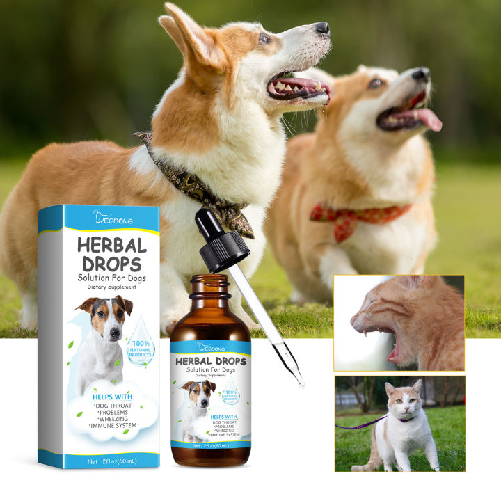 medicine for dry cough for dogs