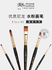 Windsor Newton Professional Nylon Watercolor Painting Brushes Flat Head round Head Fan Shape Hand Drawing Student Art Supplies