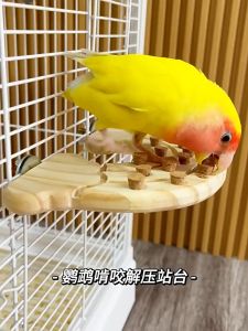 ของเล่นนกแก้ว เหมาะกับนกแก้วขนาดเล็ก เลิฟเบิร์ด ฟอฟัส ซันคอนัวร์ ติดตะแกรงได้ 18.5x10.5 CM