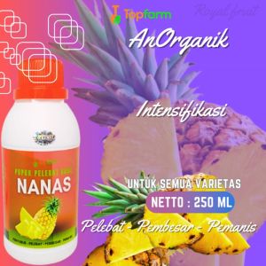Pupuk Booster Nanas: Cara Meningkatkan Produksi Buah