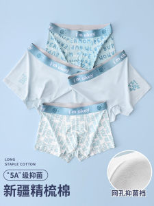 Ainian Home Teenage Boys Boxer Briefs Combed Cotton mid Large Children Pre High School Development Period Flat Angle Underwear