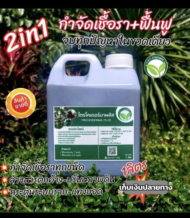 5 อันดับ ไตรโคเดอร์มา ยี่ห้อไหนดี? ป้องกันโรคพืช บำรุงราก อัปเดตปี 2025