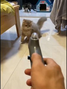 Pet Dog Cat Treat Snack Food Launcher For Dog & Cat / Dog Cat Training Interactive Bonding Toy