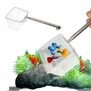 Mini Stainless Steel Fine Mesh Fishing Net Is A Stretchable Durable Accessory for Small Fish Fishing in Aquariums and Fish Tanks