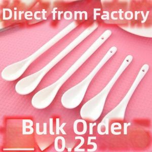 Miniature Delicate Home Use Ceramic Seasoning Spoon