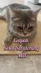 CATPAK Premium Sisal Cat Scratching Mat Stops Furniture Damage