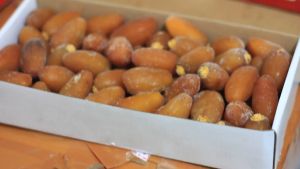 Kurma Ruthob Ruthab Libiya Isi 1 Kg Asli Libya