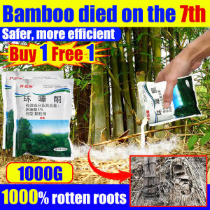 Big tree died on 7th Racun pokok kayu besar racun rumput paling kuat cepat mati Effective weed control Removing big trees and bamboo Tree killer racun pokok paling kuat 500g Concentrated formula Racun rumpai paling kuat Weed killer Grass killer 除草剂