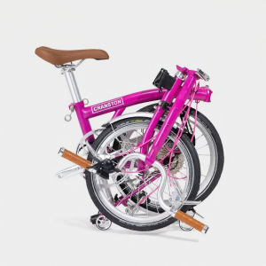 CRANSTON | Portable 3-Fold Bicycle 16 Inch 9 Speed