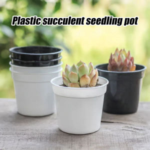 100/50Pcs Cactus and Succulent Flower Desk Pot Cute Mini Taho Round Corrugated Pots For Home Gardening