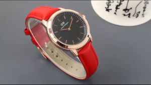 Paket Box Exclusive + PaperBag + Kartu & Jam Tangan WD Bulat VA-758OR