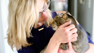 TULIPSPET INSTANT URINE ELIMINATOR