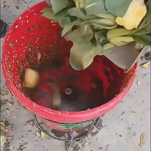 Agricultural Fruit Vegetable Chopper Blade For Farm Breeding Shredder Grass Cutter Blades