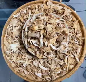 Nấm Bào Ngư 200gr Xám Khô ngon dai giòn (hỏa tốc hcm 2h)