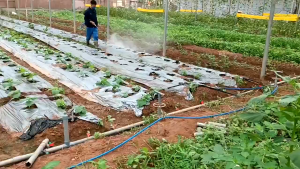 Garden Hose Guide Stake / Hose Guide Spike / Water Hoses Support / Hose Pulling Stand Reel For Gardens Corner