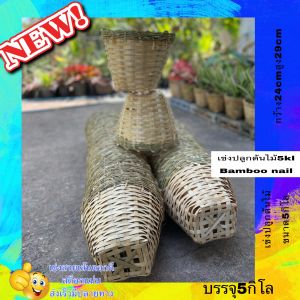 เข่งปลูกต้นไม้ขนาด3กิโล ใบเล็ก