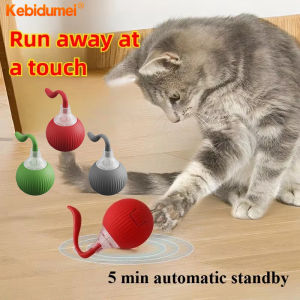 Kebidumei Interactive Cat Toys Ball Fast Rolling in Pouch Hide and Seek Kitten Toy Motion Activated Interactive Cat Toy for Indoor