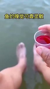 100Ml Umpan Cairan Merah Cairan Cacing Darah Aroma Ikan Atraktan Terkonsentrasi Merah Cacing Cair Umpan Ikan Aditif Bertengger Lele Aksesoris Memancing