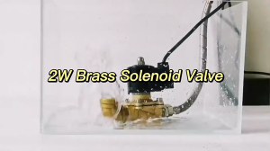 Solenoid Valve 220V AC 1/4" 1/2" 3/4" 1" Water Oil Air Gas Brass Electric Solenoid Valve