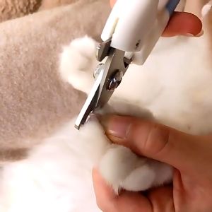 Professional Dog Nail Cutter For Newbies Nail Cutter for Dog Pet Grooming Set Cat&Dog Nail Clipper Stainless Nail Tools