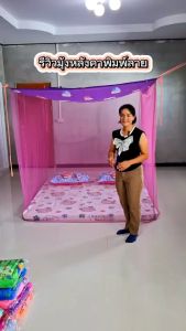 มุ้ง 6 ฟุต หลังคาลาย เนื้อผ้าพริกไทย ตาถี่ นอนได้ 2-3 คน