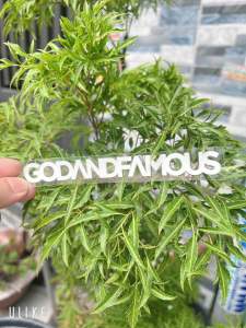 Tem in nhiệt uv &GODANDFAMOUS in công nghệ nhật bản sắc nét bền màu chịu nhiệt tốt. Siêu bám dính