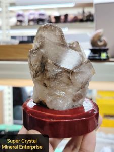 Natural Brazil Collection Skeletal Alligator Smoky Quartz Crystal Ornament SK10