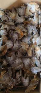 DANGGIT DRIED FISH boneles vacuum sealed 100g-1kg