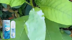 Homonth Car Cooling Spray Summer Car Cooling Agent Cools The Car To Keep It Cool And Comfortable For Driving 50ml