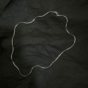 GuangYu Minimalist Silver Snake Bone Chain for Men and Women Titanium Steel Fine Projector Collar Couple Accessory Light in Brand