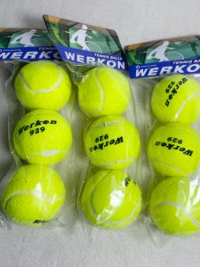 Werkon Tennis Ball High Elasticity Durable Training Ball for Beginners Intermediate Competition Special Use Wear Resistant Explosive Proof