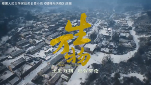 USB China Drama 热播大陆剧 《生万物 + 许我耀眼 + 一笑随歌》 华语中字