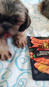 70g Dog Treats Dog Snack Dogs Food Entree Gourmet All Stages Adult Puppy
