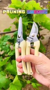 Gunting Dahan Ranting Bunga Tanaman Peralatan Berkebun Pruning Shears