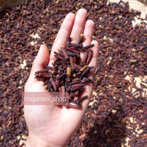 cengkeh kering 100% original organik rempah bumbu masak jamu herbal