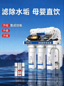 JINXIANQUAN | RO Direct Drinking Household Water Purifier 600g