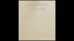 หัวรางม่าน สีน้ำตาลเข้ม หัวรางโชว์ 26 มิล อุปกรณ์ม่าน อุปกรณ์ม่านตาไก่ รางม่านตาไก่