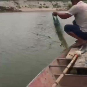 Single-Layer Floating Net Fishing Net Sticky Net Fishing Net One/Two/Three Finger Fishing Net