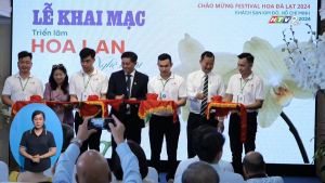 Chai xịt bóng lá Bambi Shine 500ml tạo độ bóng tự tự nhiên cho lá không mùi và ngừa côn trùng