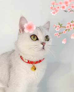 Japanese Style Flower Shiba Inu Fortune Cat Copper Bell Adjustable Pet Cat Dog Collar Necklace