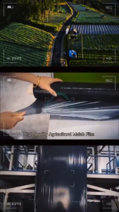 Heavy Duty Plastic Mulch: A Comprehensive Guide