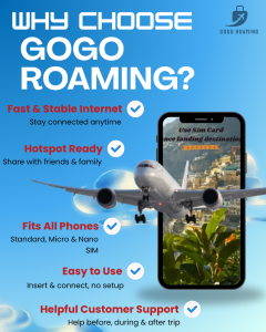 Southeast Asia 3 (Daily) Sim Card Malaysia I Singapore I Indonesia I Unlimited Data Roaming Travel Sim Card (Daily 1GB - 3GB) GOGO ROAMING Travel Sim