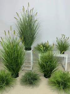 Indoor Decorative Faux Green Plant Landscape Popular Reed Dog Tail Grass Window Display Floor Potted Living Room Plant Ornament