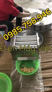 Máy vo viên size 6mm 8mm10mm vo trân châu bánh nhãn inox chạy điện ST106