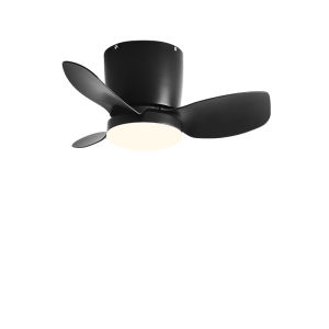 24-Inch Mini Ceiling Fan Lamp Balcony Aisle Hallway Dressing Room Narrow Space Electric Fan Frequency Conversion Ceiling Fan Lights